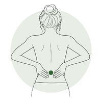 Bas du dos